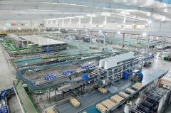  沉点培育强大先辈业 